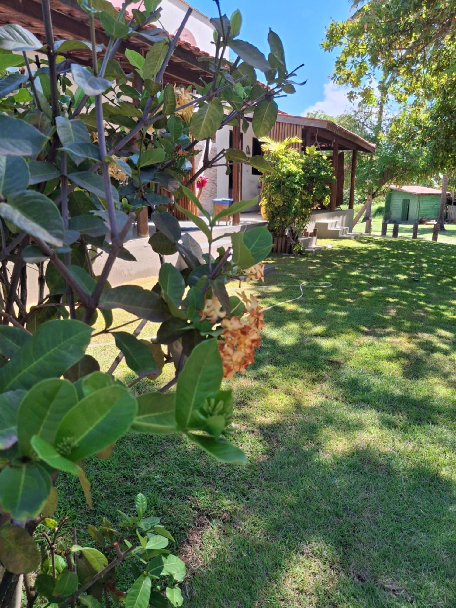 Recanto Verde - Praia De Santo Antonio Diogo Exterior foto
